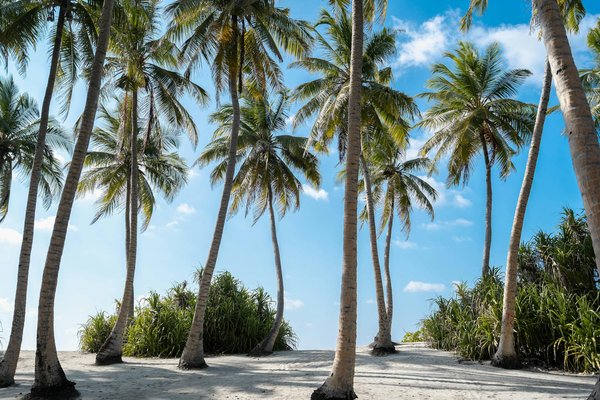Explorez les locations de mobil-home idéales au Puy du Fou
