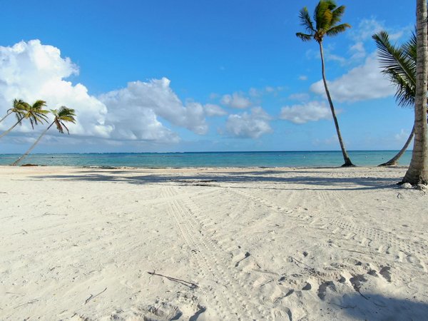 Chalets à la clusaz : découvrez luxe, confort et authenticité
